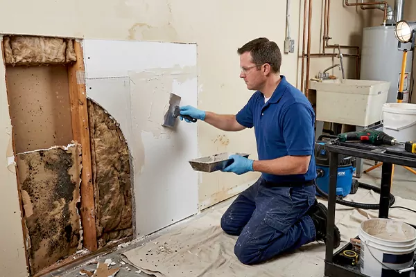 Mold and Drywall Repair Seattle