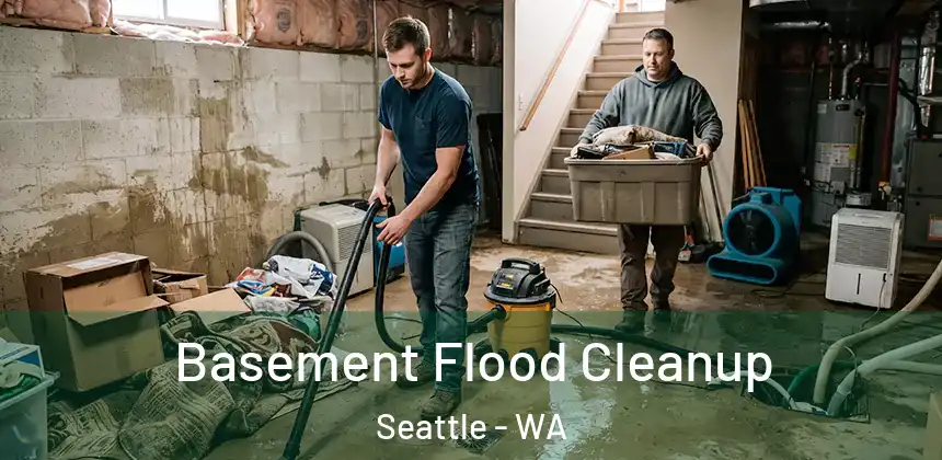  Basement Flood Cleanup Seattle - WA