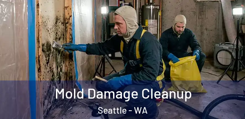  Mold Damage Cleanup Seattle - WA