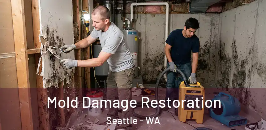  Mold Damage Restoration Seattle - WA