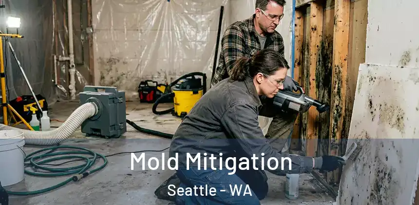  Mold Mitigation Seattle - WA