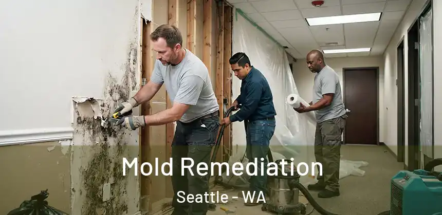  Mold Remediation Seattle - WA