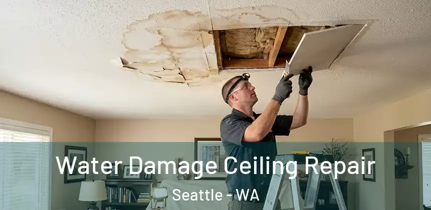  Water Damage Ceiling Repair Seattle - WA