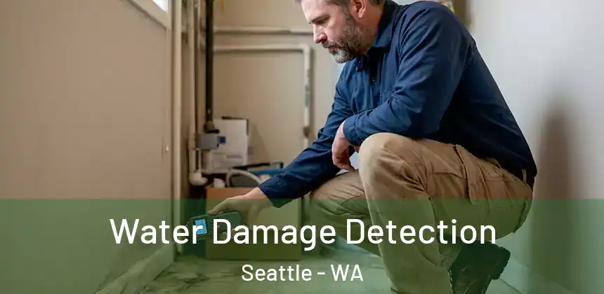  Water Damage Detection Seattle - WA