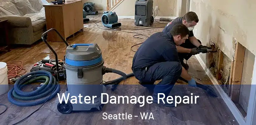  Water Damage Repair Seattle - WA