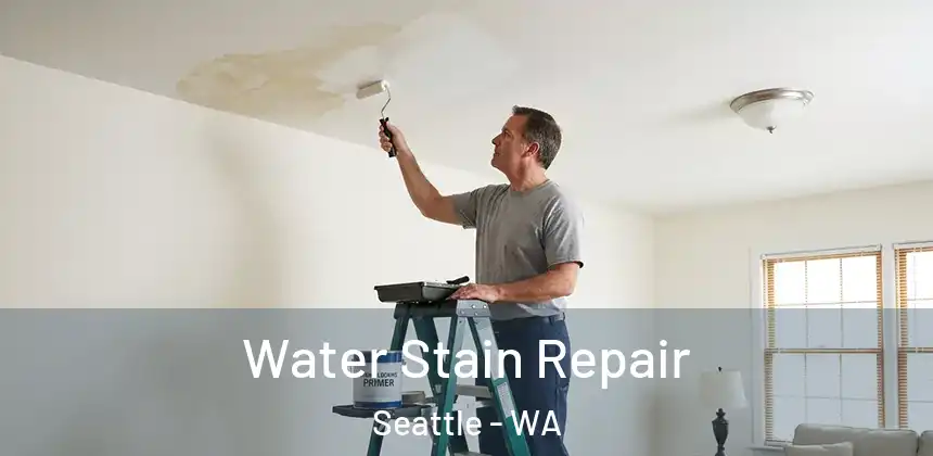  Water Stain Repair Seattle - WA